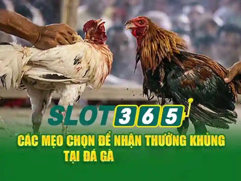 Việt Vị Trong Bóng Đá