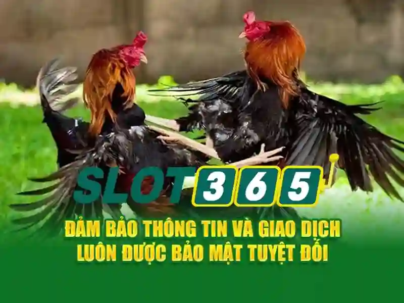 Việt Vị Trong Bóng Đá