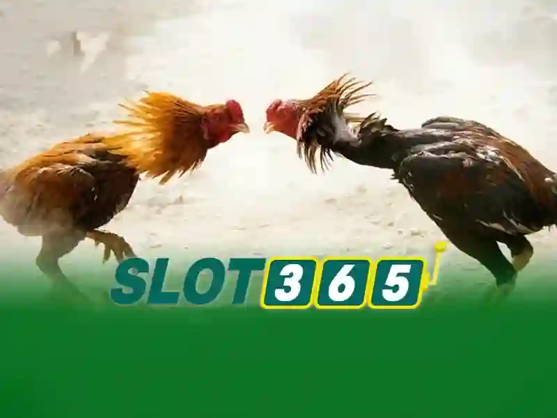 slot365 login link – Tổng quan chủ đề và giá trị cốt lõi slot365 login link – Tổng quan chủ đề và giá trị cốt lõi