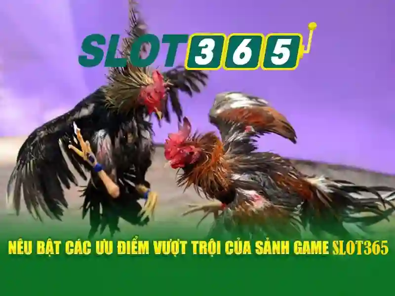Slot365-GioiThieu-01