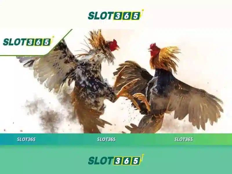 Tại sao Slot365 nổi bật?
