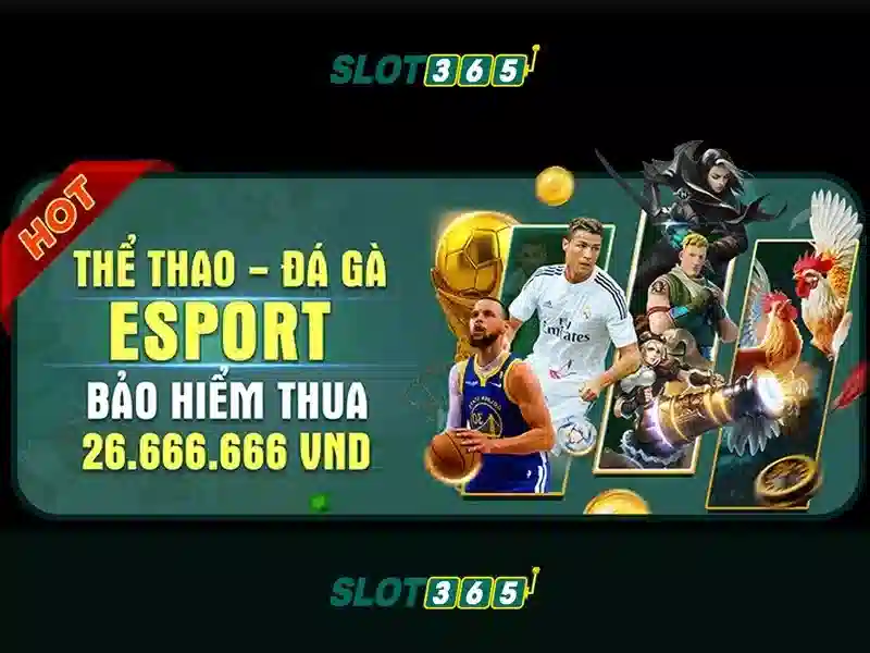 Slot365 - Khu vực máy xèng trực tuyến đáng tin cậy