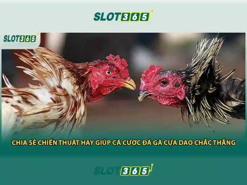 Việt Vị Trong Bóng Đá