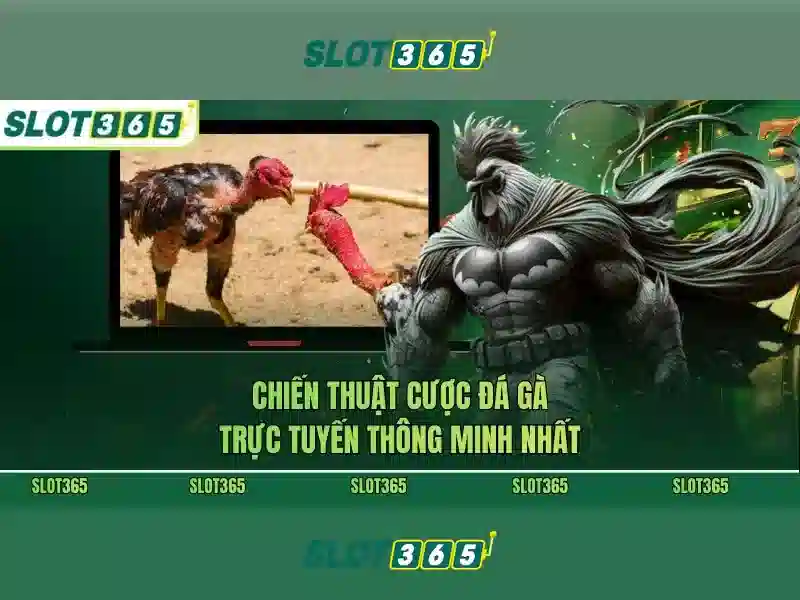Slot365 là gì Slot365 là gì