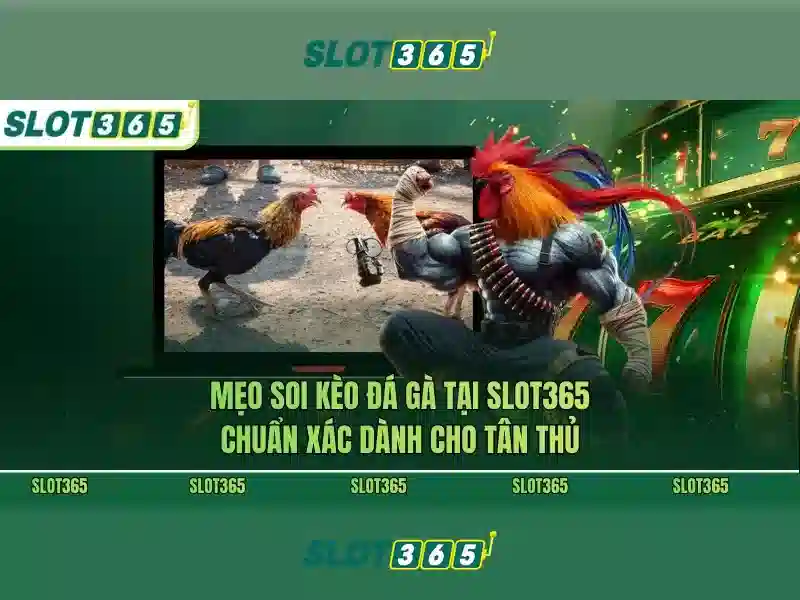 Việt Vị Trong Bóng Đá