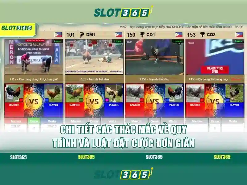 Slot365 – Nền tảng Slot Trực tuyến Hàng Đầu