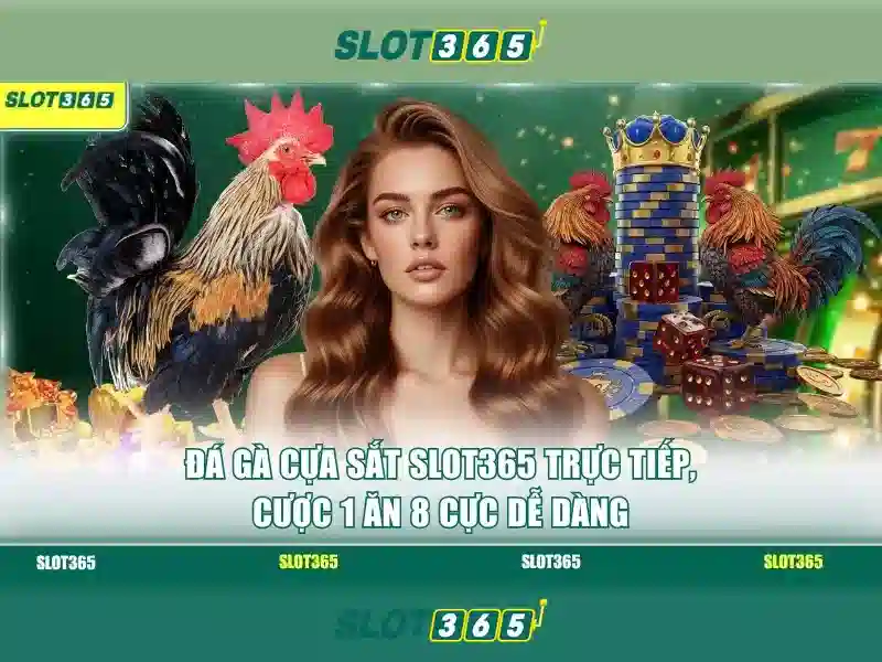 Cac tinh nang noi bat cua Slot365