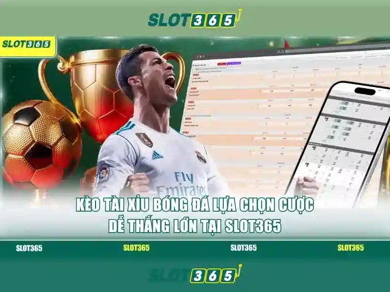 Slot365 la gi va tai sao thu hut nguoi choi