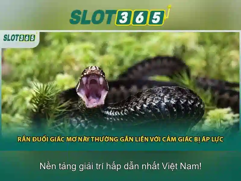 Ưu đãi và khuyến mãi hấp dẫn