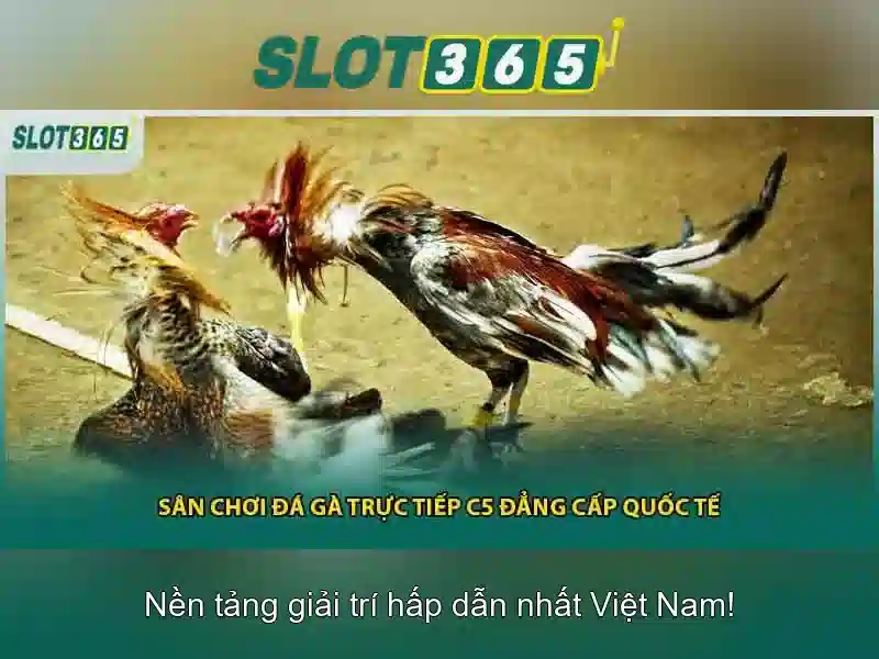 Bull Bull trực tuyến