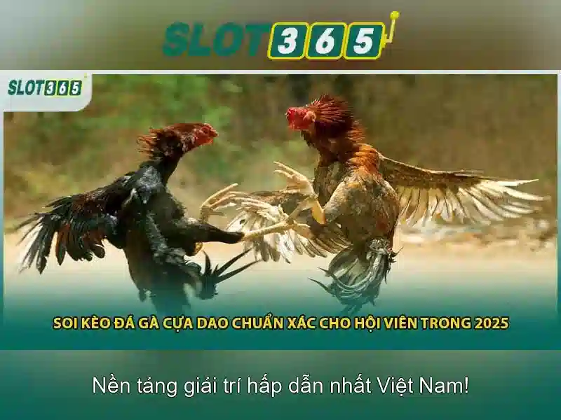 Nền tảng và trò chơi