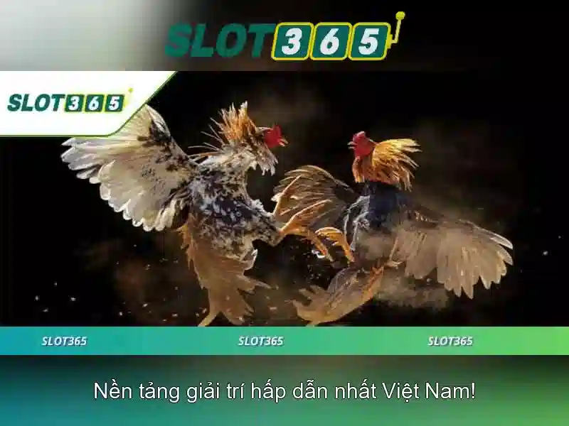 An toàn, bảo mật và thanh toán nhanh chóng