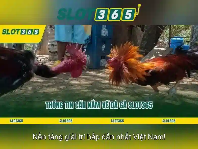 Việt Vị Trong Bóng Đá