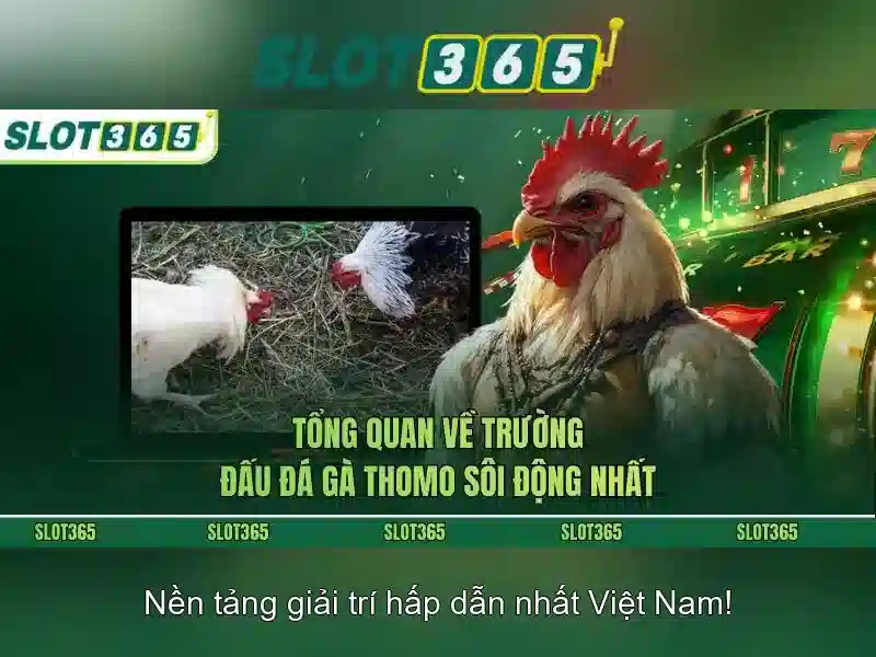 Phương thức thanh toán và khuyến mãi