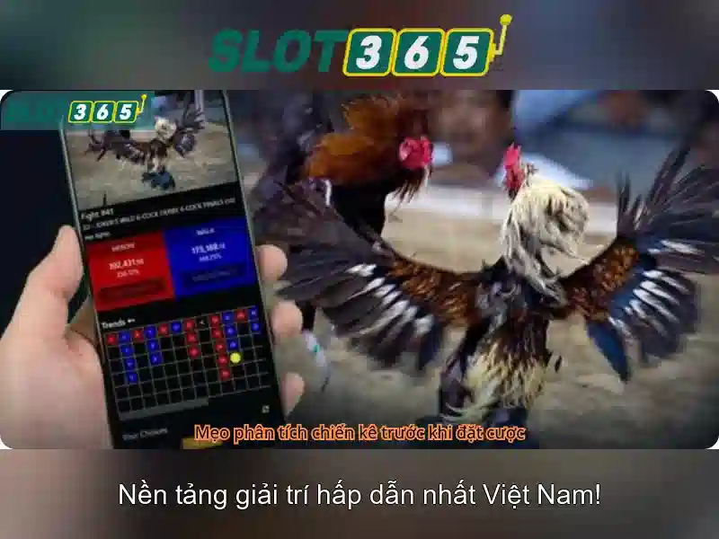 Bull Bull trực tuyến