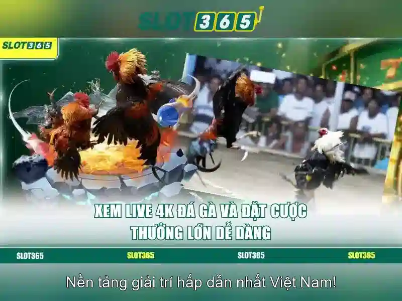 Việt Vị Trong Bóng Đá