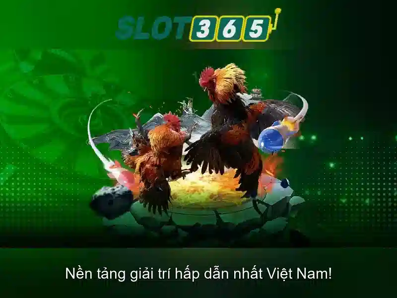 Khuyến mãi và ưu đãi