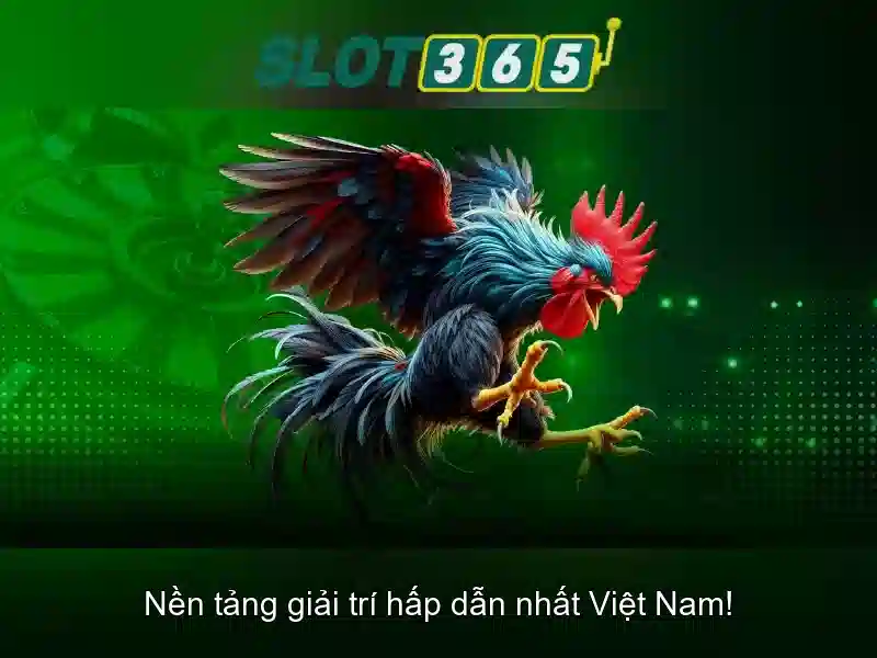 Bull Bull trực tuyến