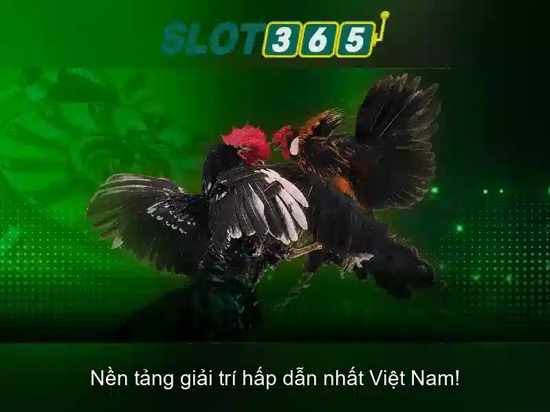 Cách đăng ký nhanh tại Slot365