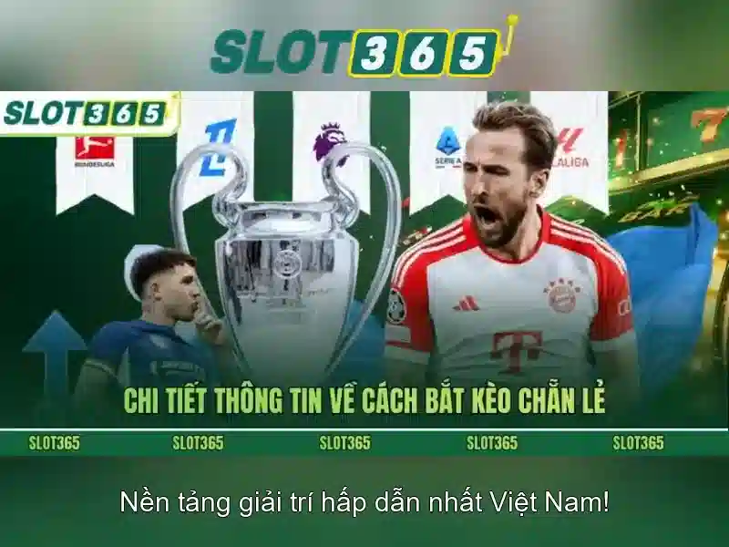 Bull Bull trực tuyến
