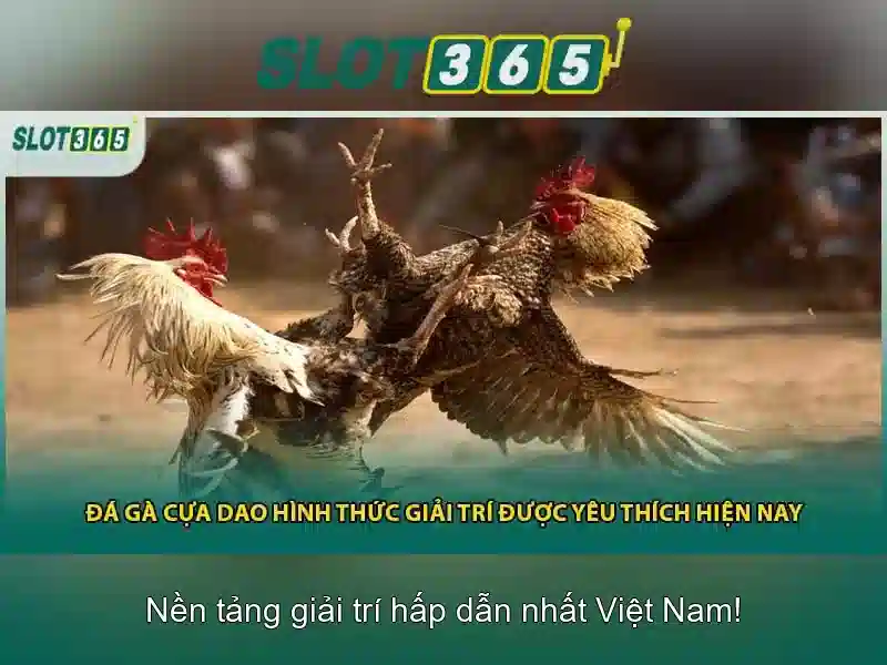 Lựa chọn thanh toán