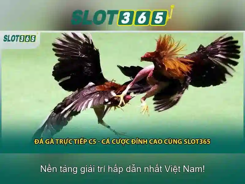 Việt Vị Trong Bóng Đá