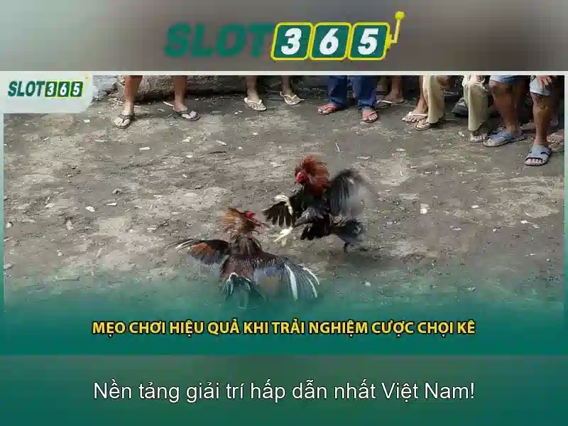 Việt Vị Trong Bóng Đá