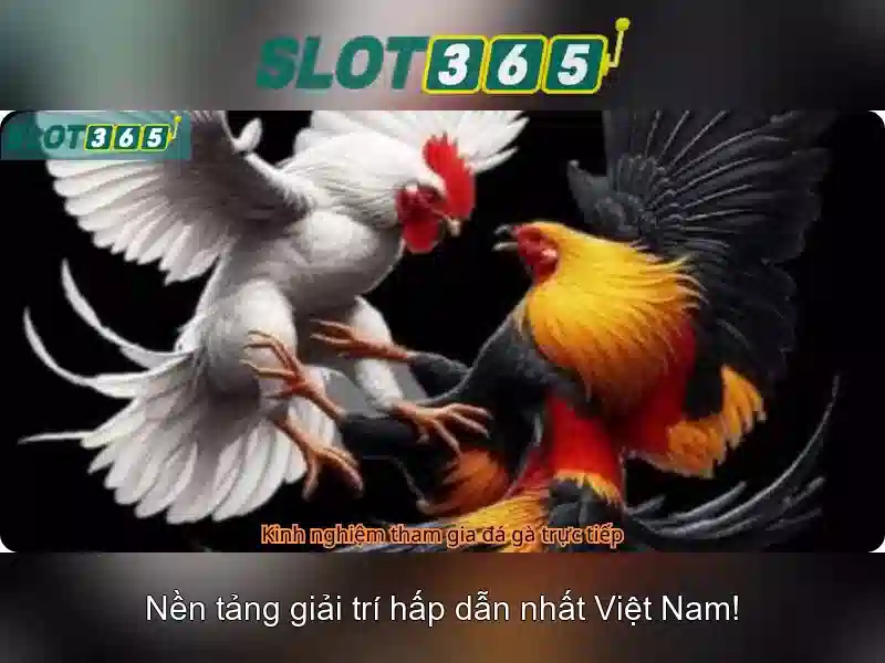 Nguồn gốc và sứ mệnh Slot365 bị chặn