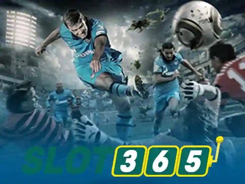 Trải nghiệm người dùng và phản hồi từ cộng đồng