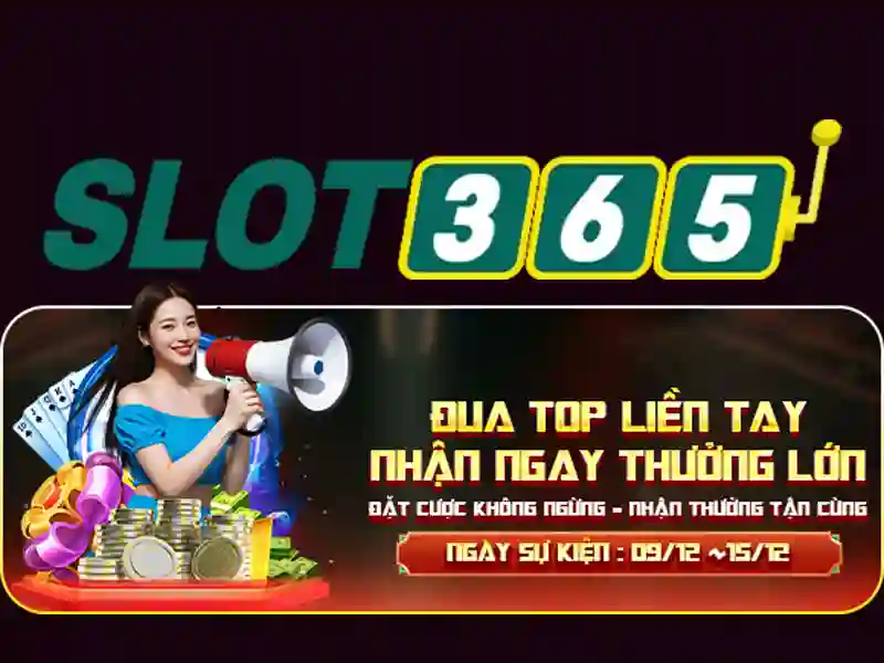 Trải nghiệm người dùng và giao diện